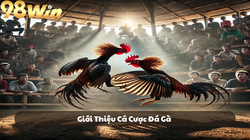 Giới thiệu về cá cược đá gà 98Win