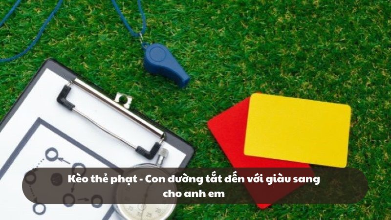 Tìm hiểu các quy định và chính sách