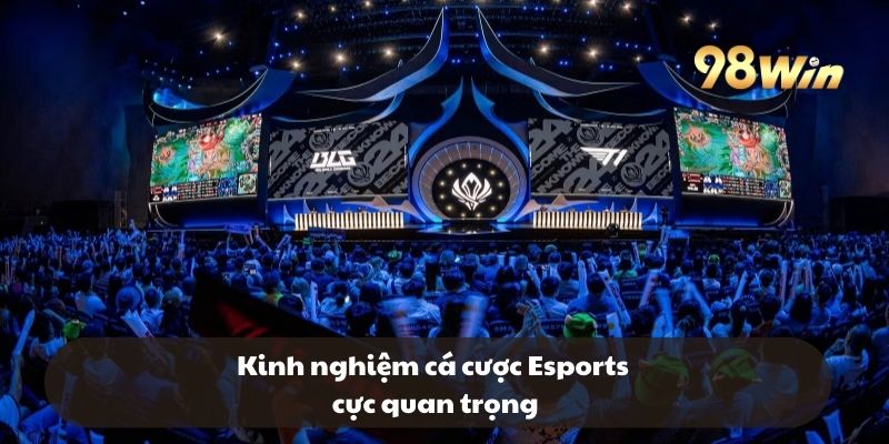 Kinh nghiệm chơi cá cược Esports tăng tỷ lệ thắng