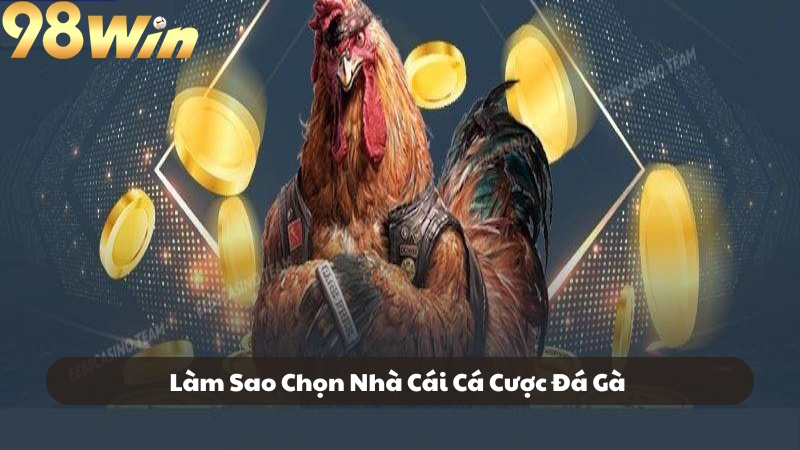 Làm thế nào để chọn nhà cái cá cược đá gà