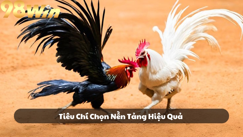 Dấu hiệu nhận biết thương hiệu đủ đẳng cấp