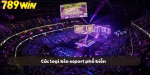 Những trò chơi Esports phổ biến tại 98win